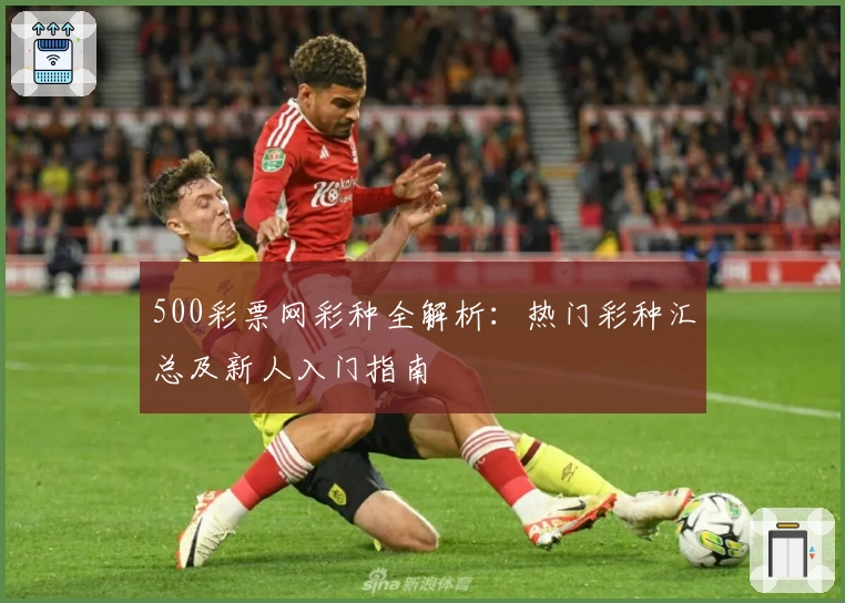 500彩票网彩种全解析：热门彩种汇总及新人入门指南