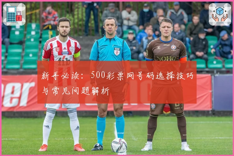 新手必读：500彩票网号码选择技巧与常见问题解析